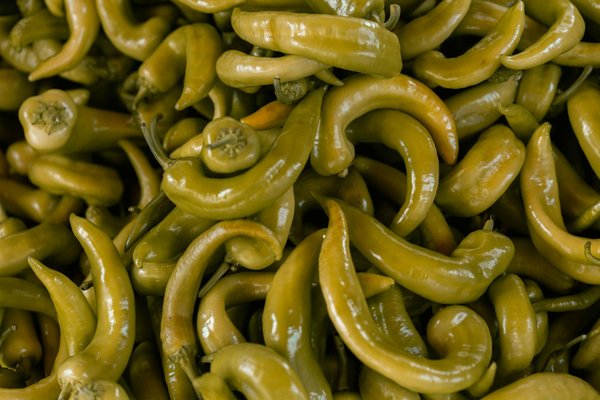 Top must-have features to look for when purchasing a modern toaster